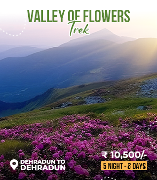 valley of flower trek uttarakhand
