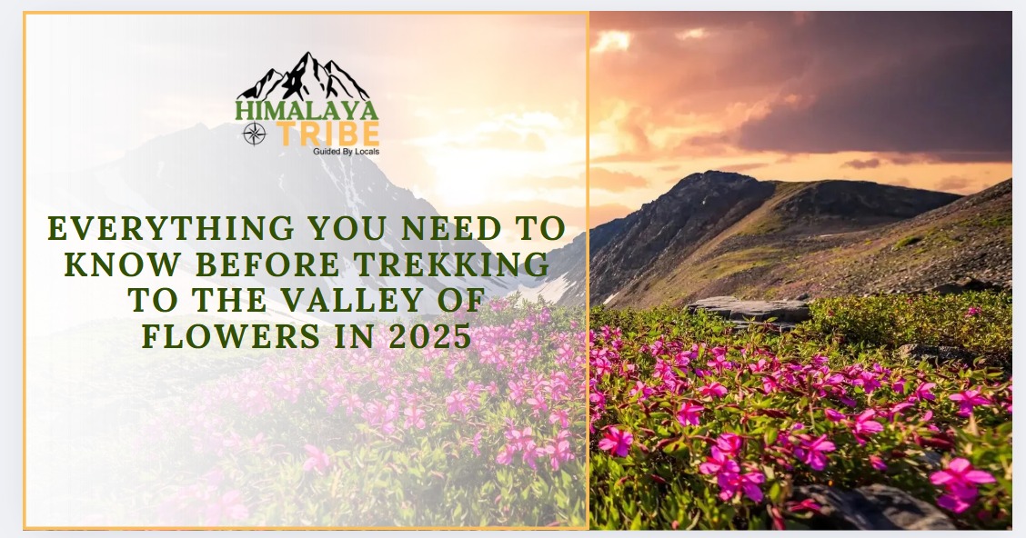 Everything You Need to Know Before Trekking to the Valley of Flowers in 2026