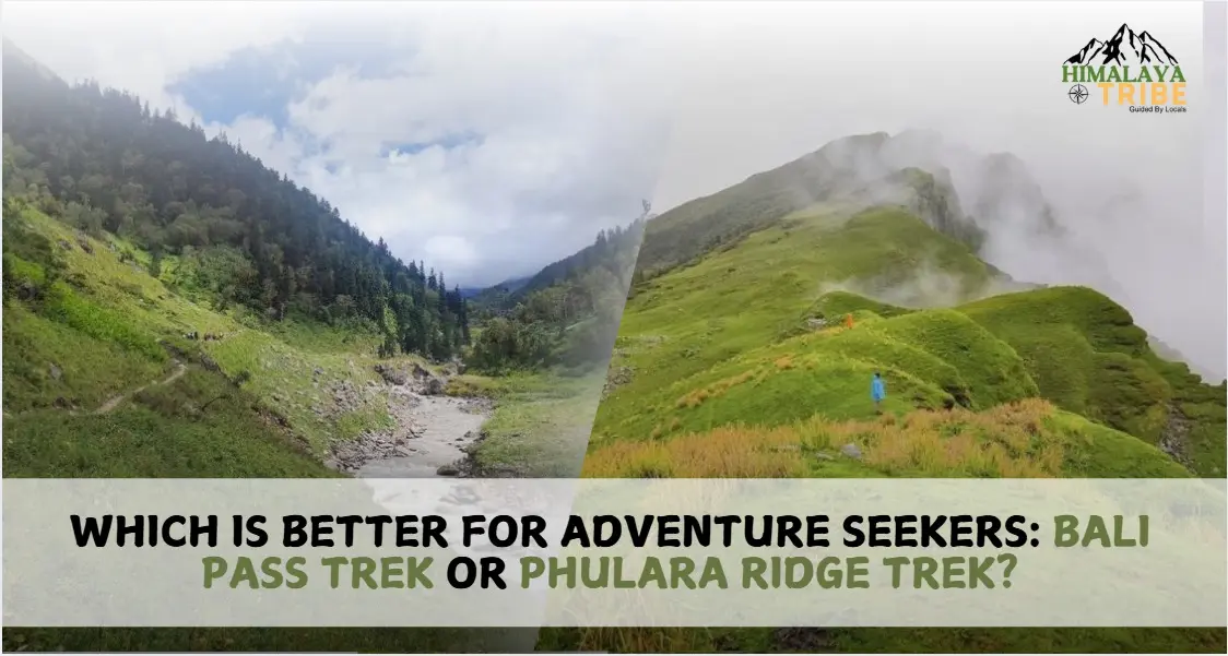 Which Is Better for Adventure Seekers: Bali Pass Trek or Phulara Ridge Trek?