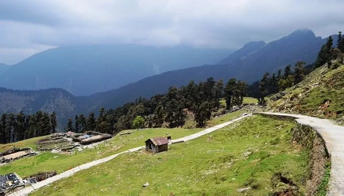 Discover the Beauty of the Chopta Trek