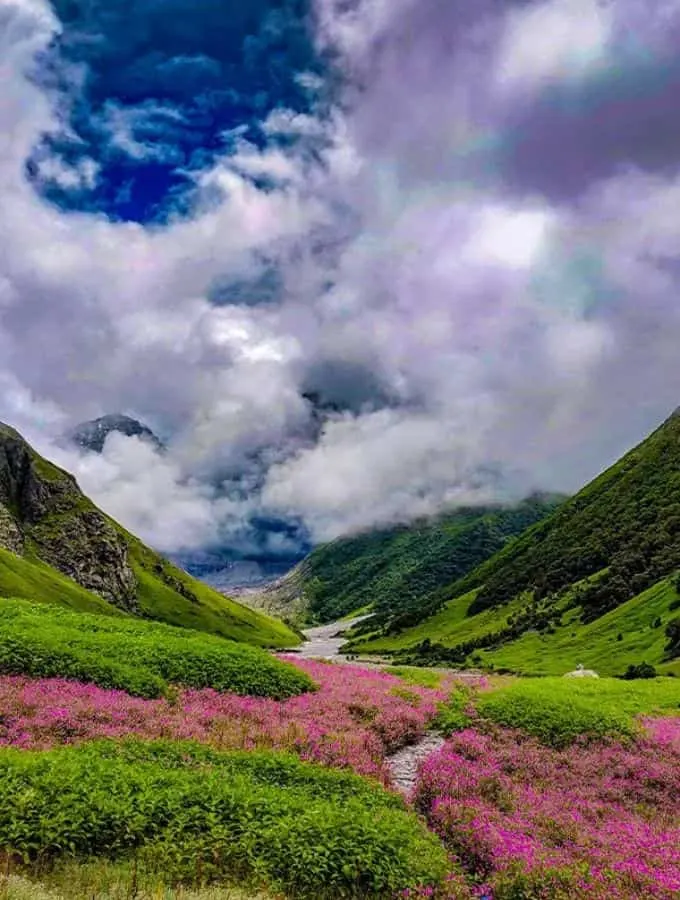 full view of Valley of flowers