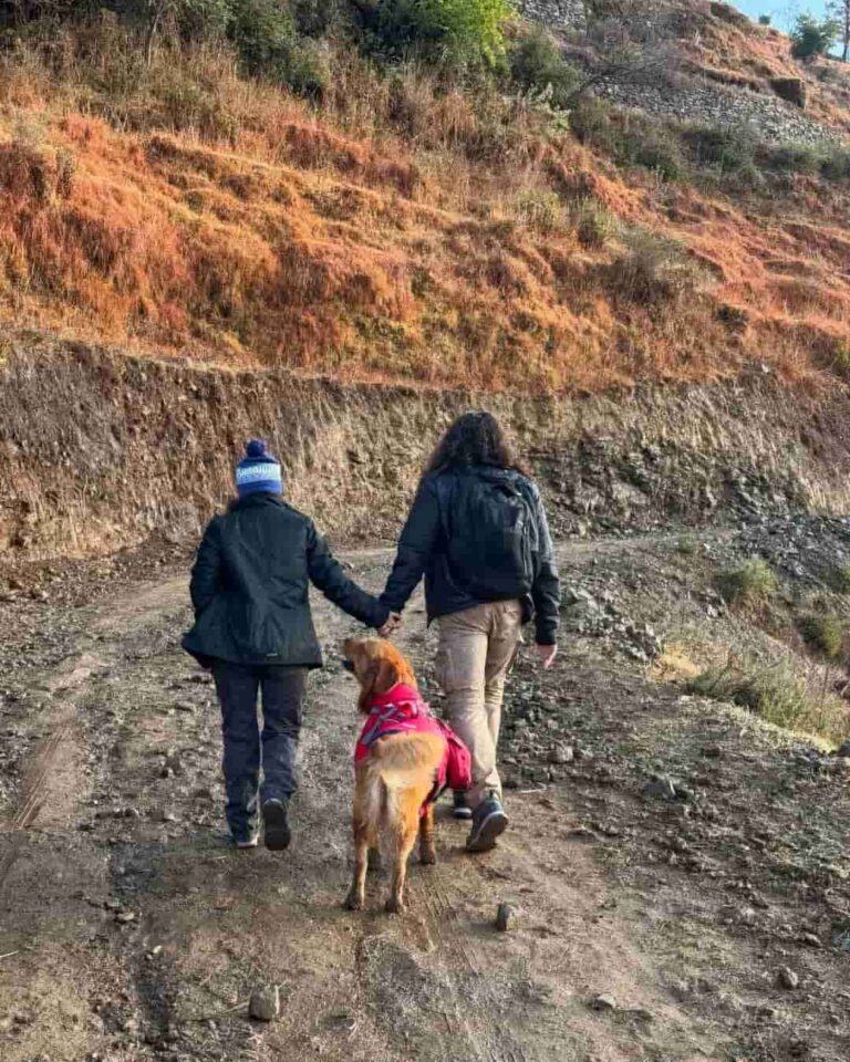 Nag Tibba Trek Package