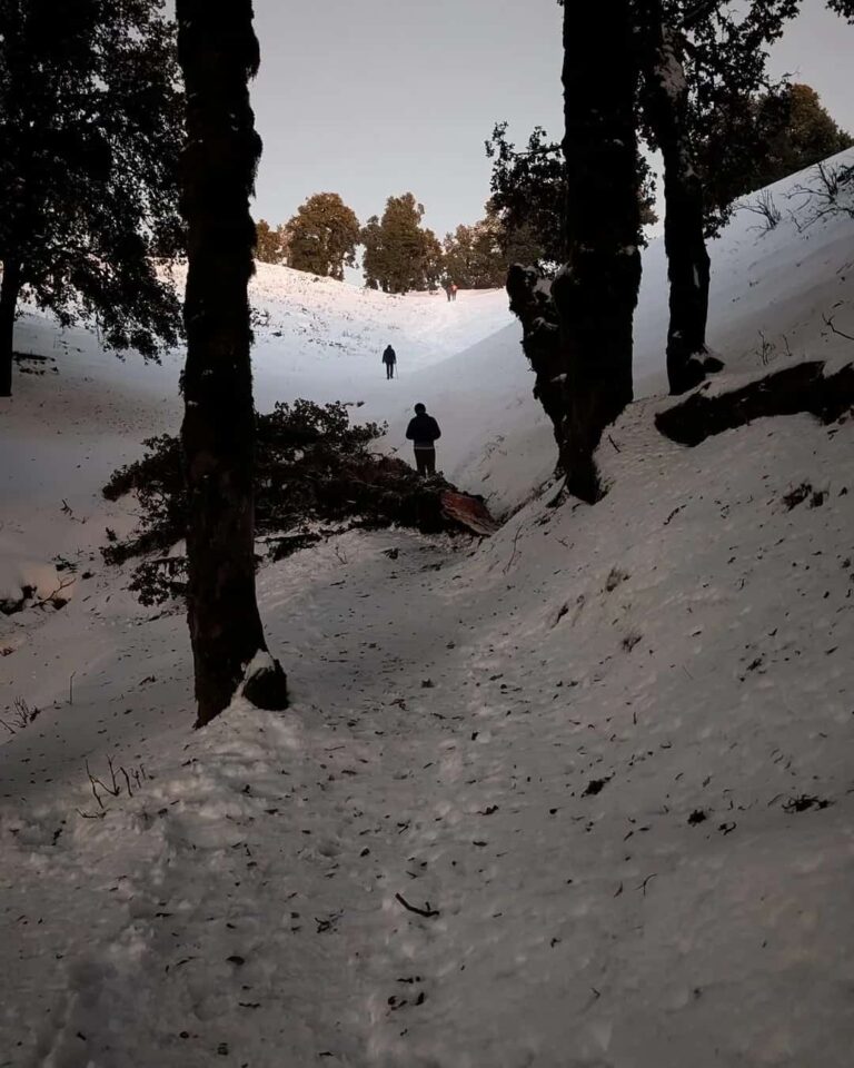 Nag Tibba Trek Package