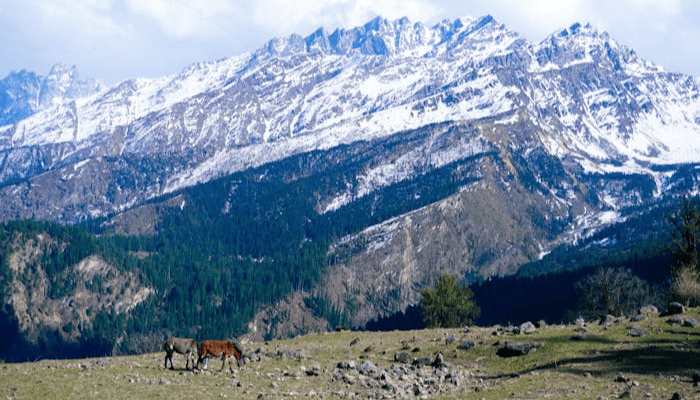 Phulara ridge trek package from Dehradun
