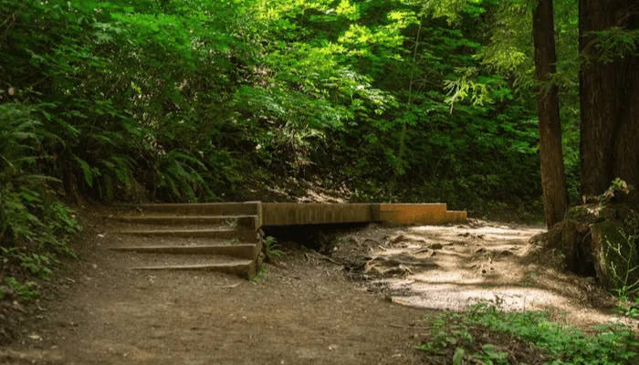 Phulara ridge trek package from Dehradun