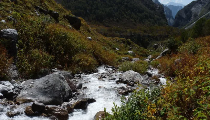 pushpawati river at valley of flower trek