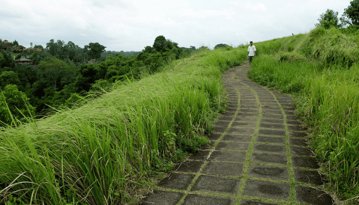 Phulara ridge trek package from Dehradun