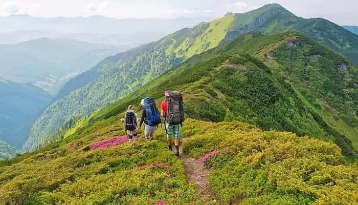 trekkers at Valley of flowers Trek