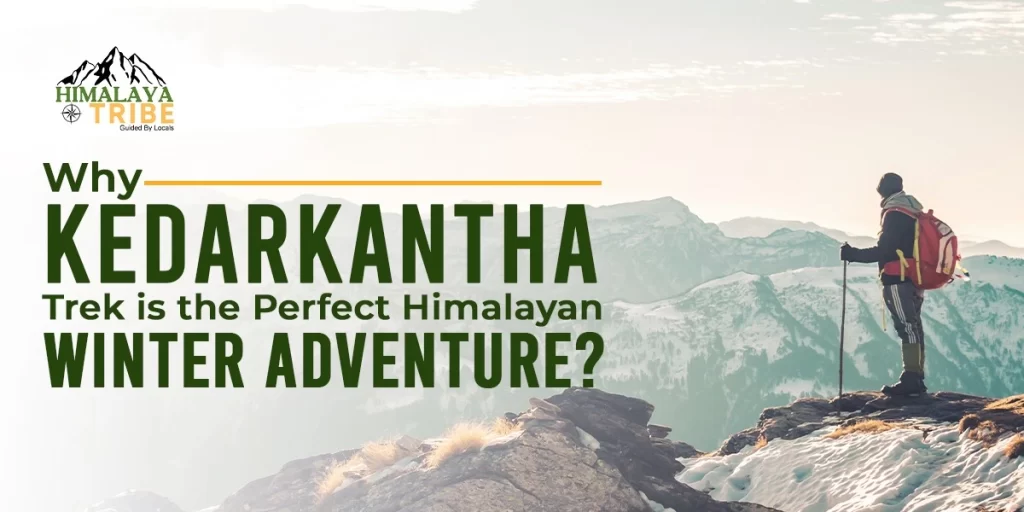 Why Kedarkantha Trek is the Perfect Himalayan Winter Adventure