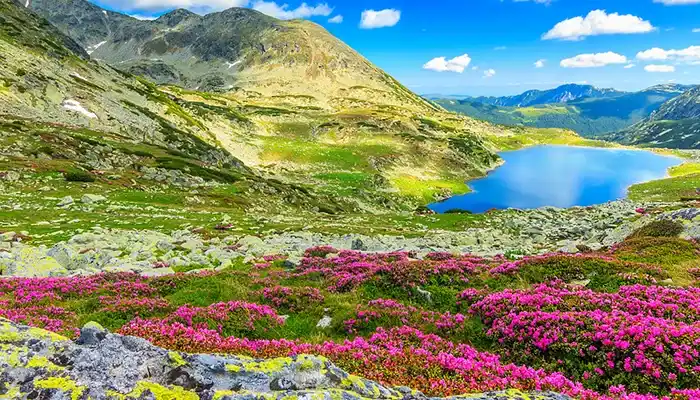 beautiful landscape at valley of flowers trek