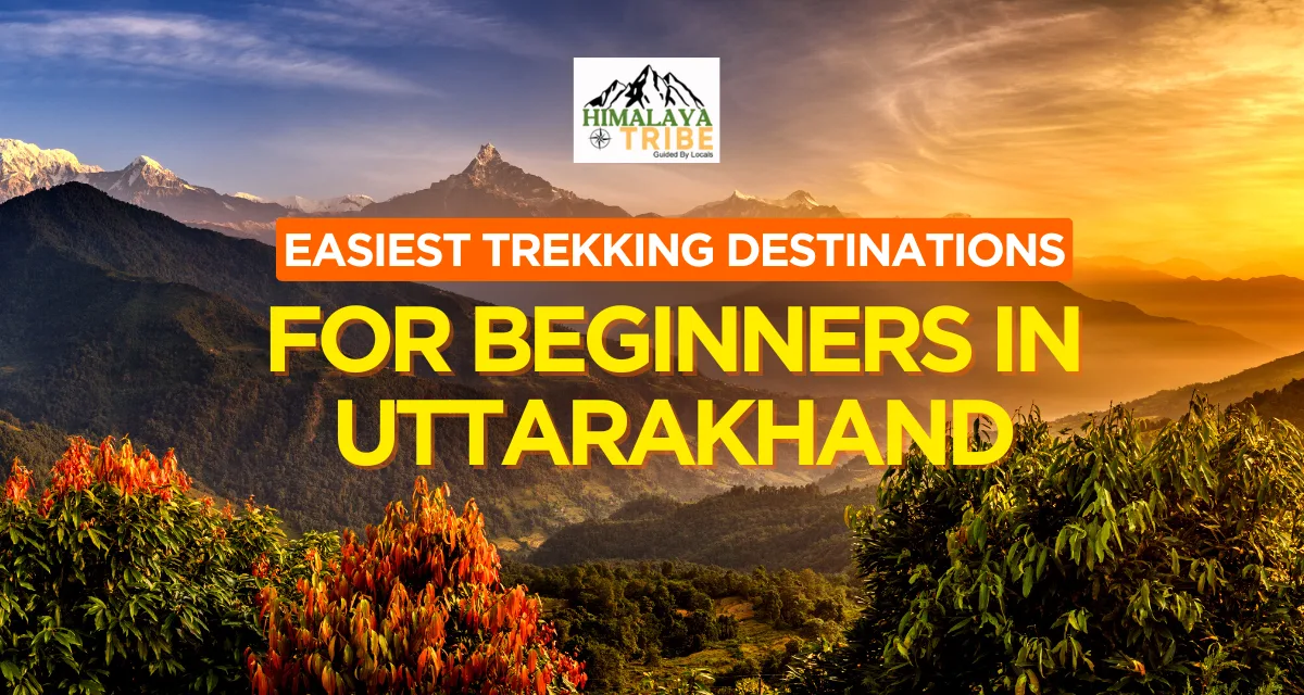 Easiest Trekking Destinations for Beginners in Uttarakhand