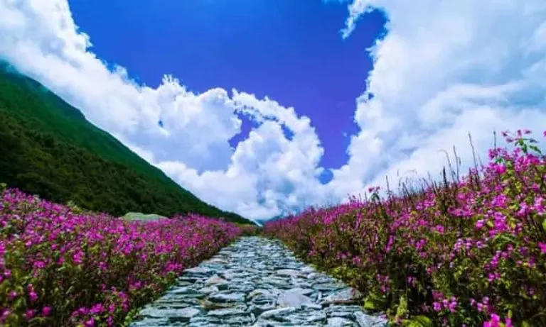 Valley Of Flower