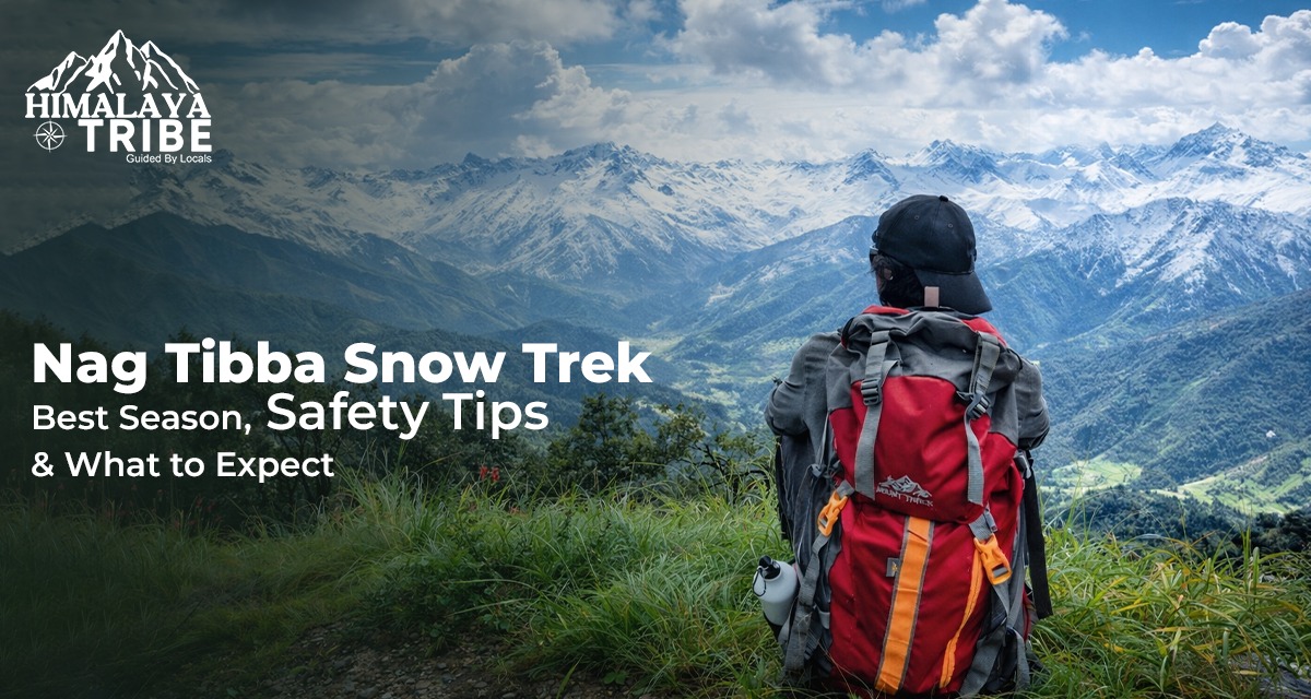 Nag Tibba Snow Trek: Best Season, Safety Tips & What to Expect