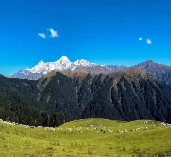 Dayara Bugyal Trek
