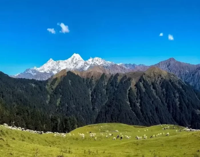 Dayara Bugyal Trek